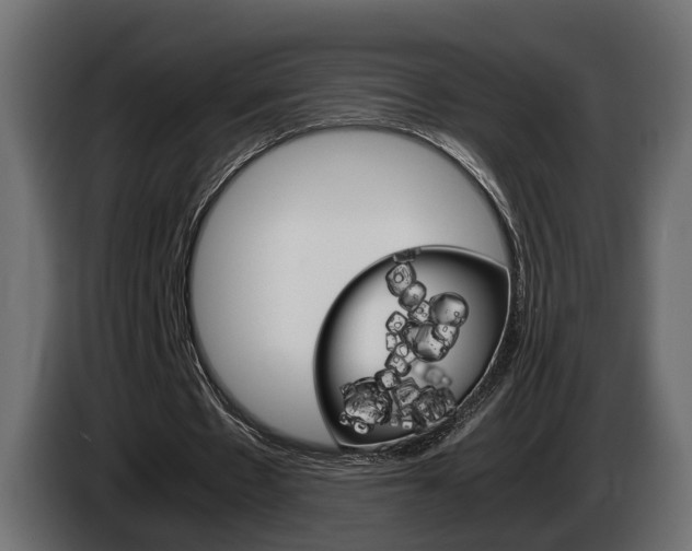 X0000085050481200703051048