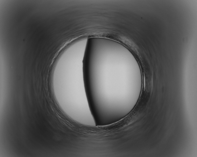 X0000085050483200703051048