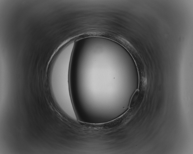 X0000085050484200703051048