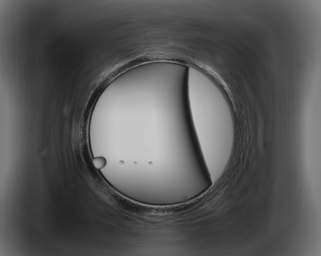 X0000085050487200703051048