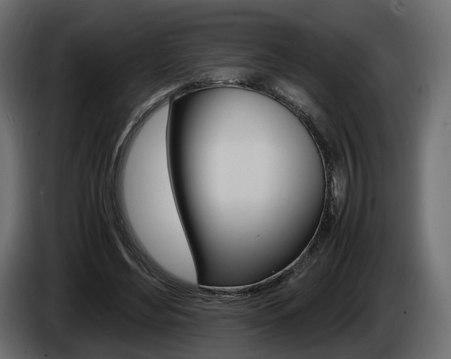 X0000085050492200703051048