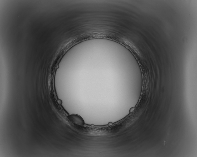 X0000085050494200703051048
