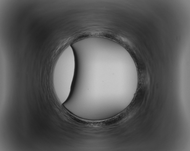 X0000085050495200703051048