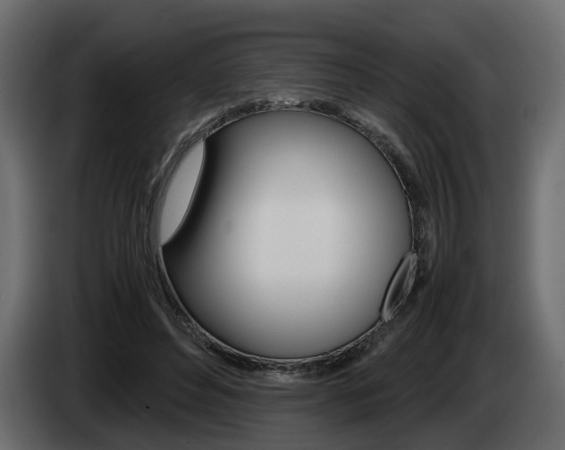 X0000085050496200703051048