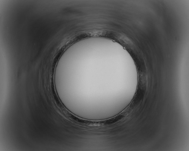 X0000085050499200703051048