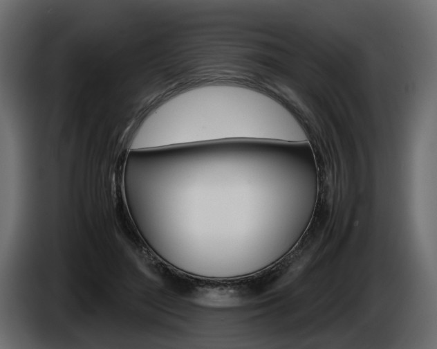 X0000085050500200703051048