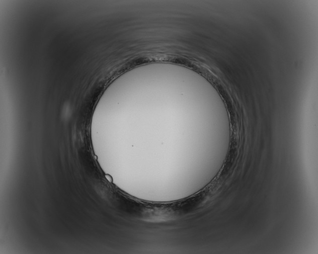 X0000085050503200703051048