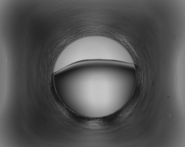 X0000085050505200703051048