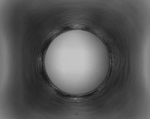 X0000085050506200703051048