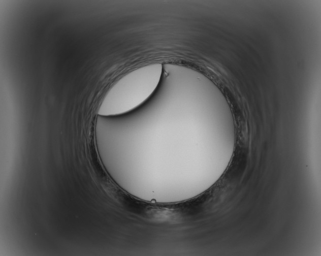 X0000085050507200703051048