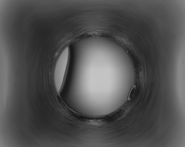 X0000085050508200703051048