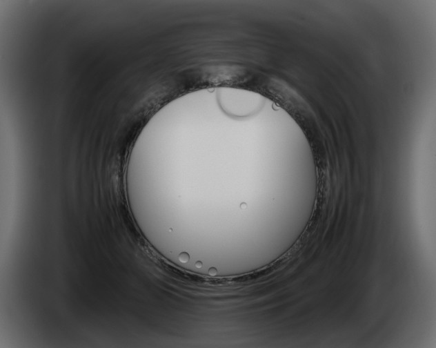 X0000085050510200703051048