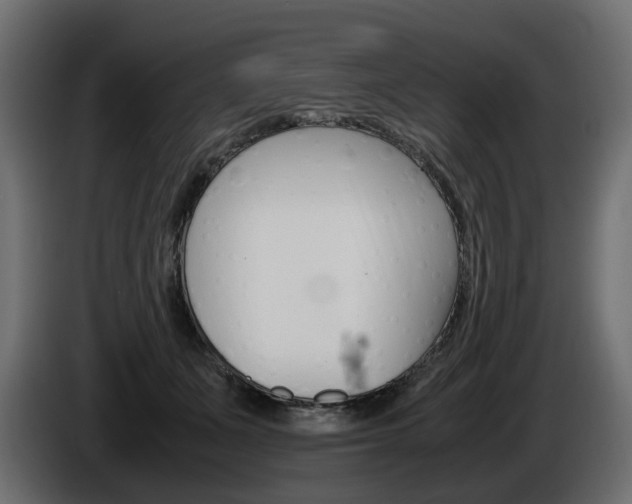 X0000085050511200703051048