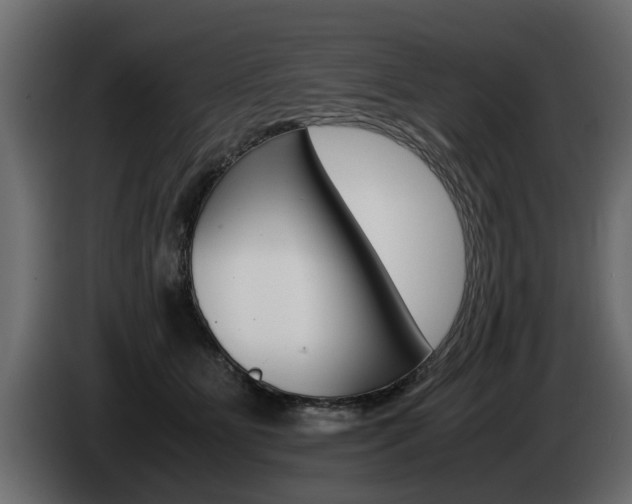 X0000085050515200703051048
