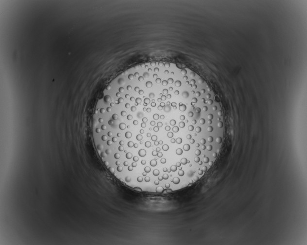 X0000085050519200703051047