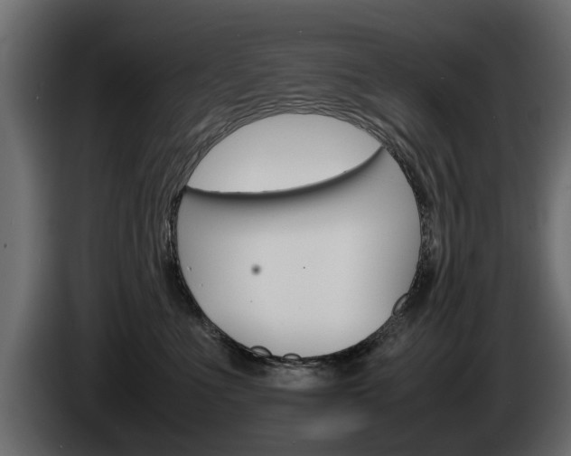 X0000085050523200703051047