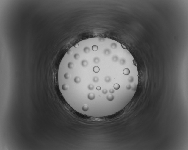 X0000085050527200703051047