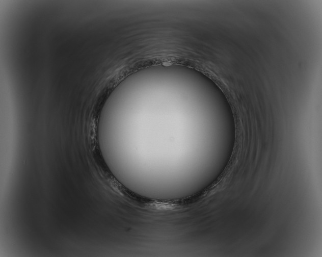 X0000085050528200703051047