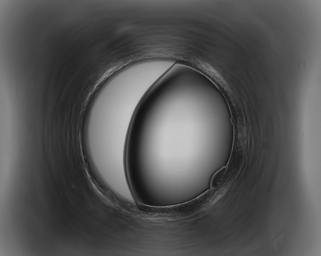 X0000085050530200703051047