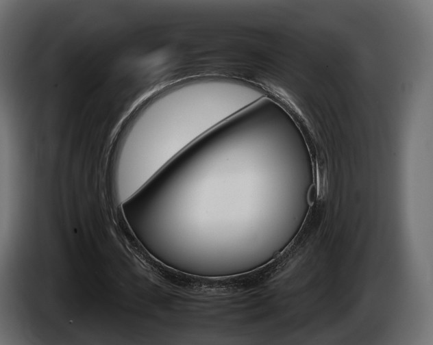 X0000085050531200703051047