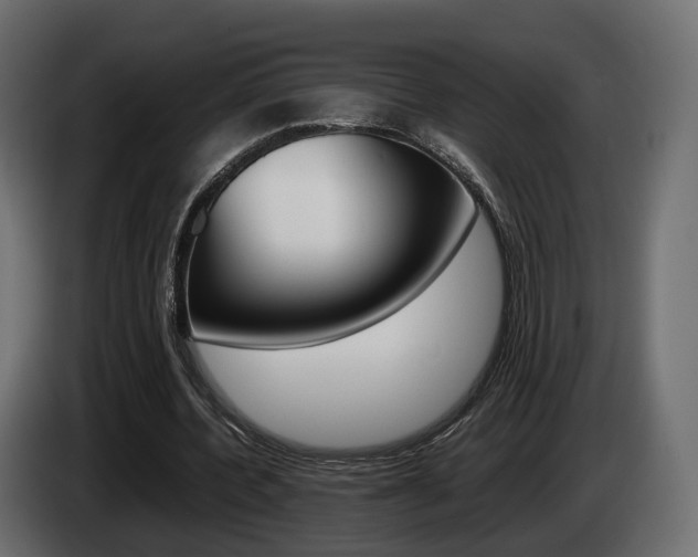 X0000085050532200703051047