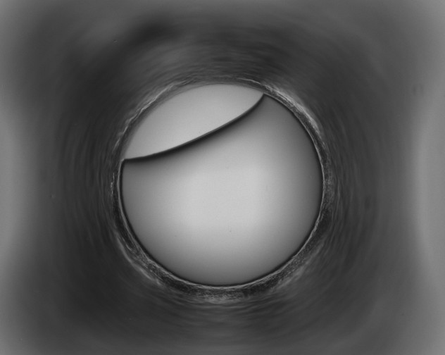 X0000085050533200703051047