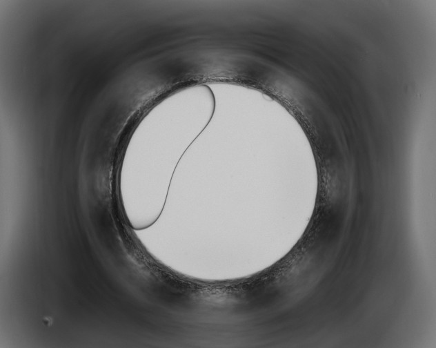 X0000085050534200703051047