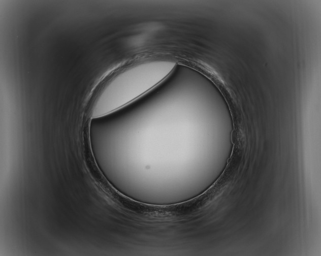 X0000085050535200703051047