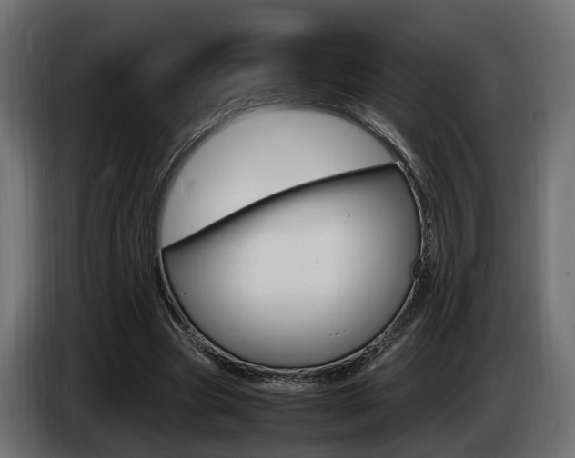 X0000085050537200703051047