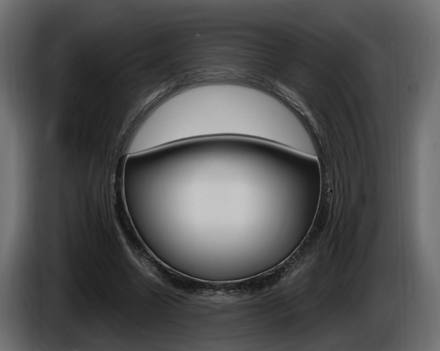 X0000085050538200703051047
