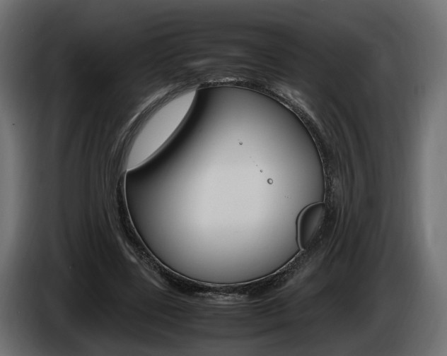 X0000085050539200703051047