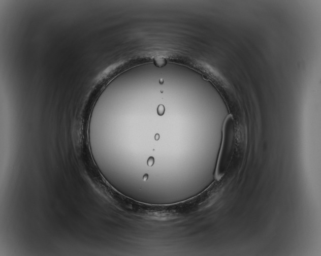 X0000085050540200703051047