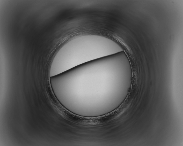 X0000085050541200703051047
