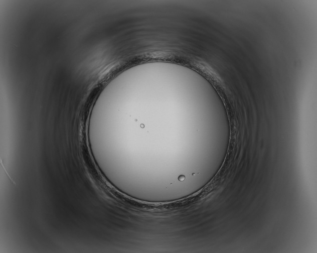 X0000085050542200703051047