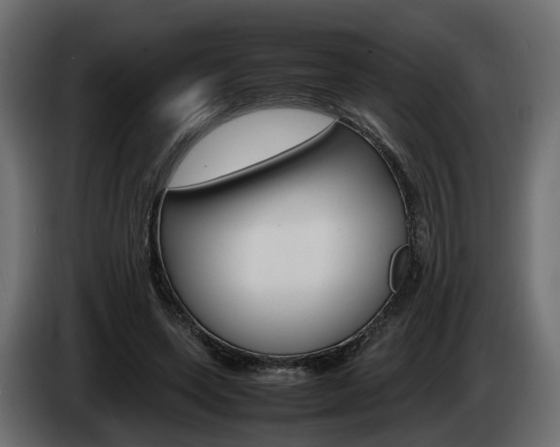 X0000085050543200703051047