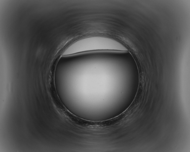 X0000085050544200703051047