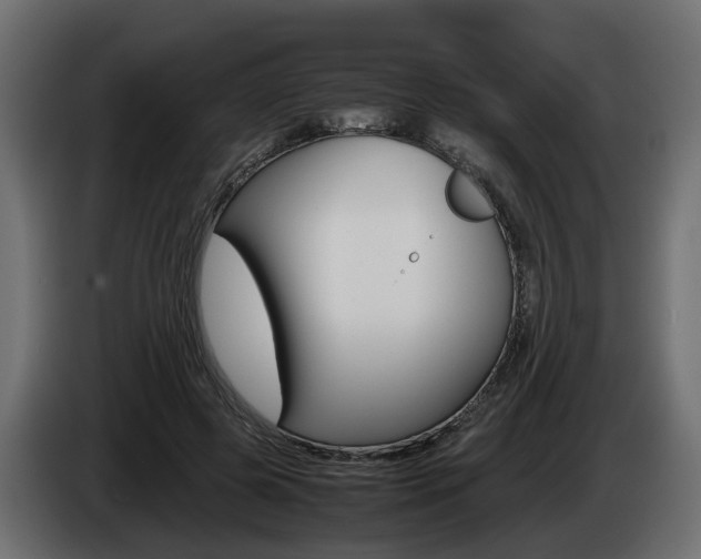 X0000085050545200703051047