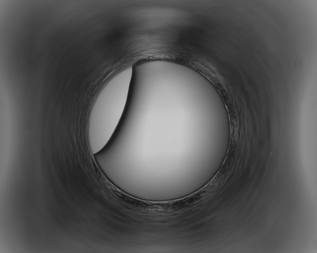 X0000085050549200703051047