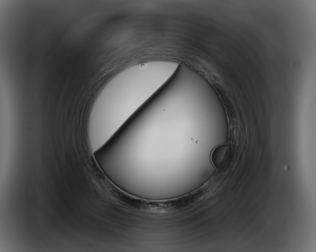 X0000085050550200703051047