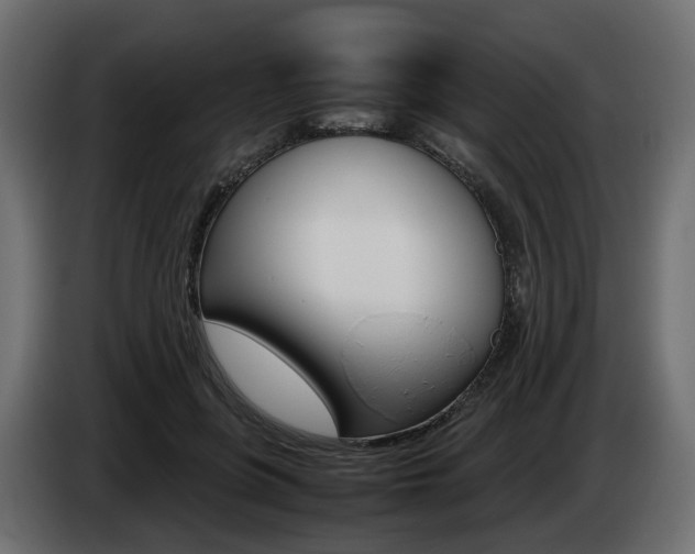 X0000085050551200703051047