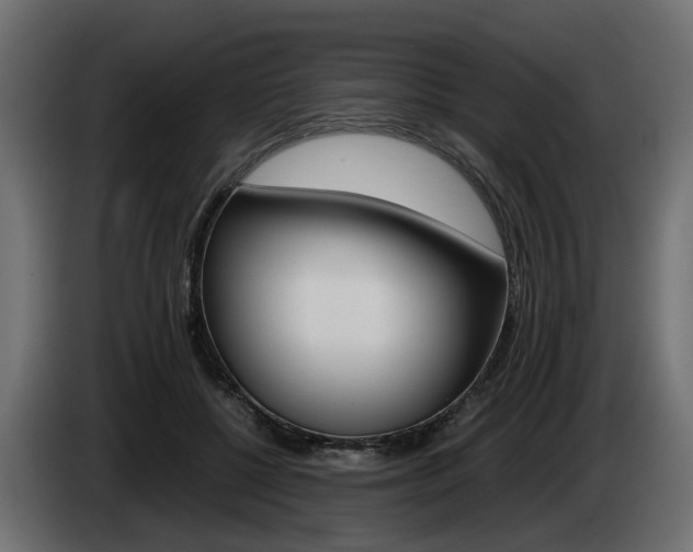 X0000085050552200703051047
