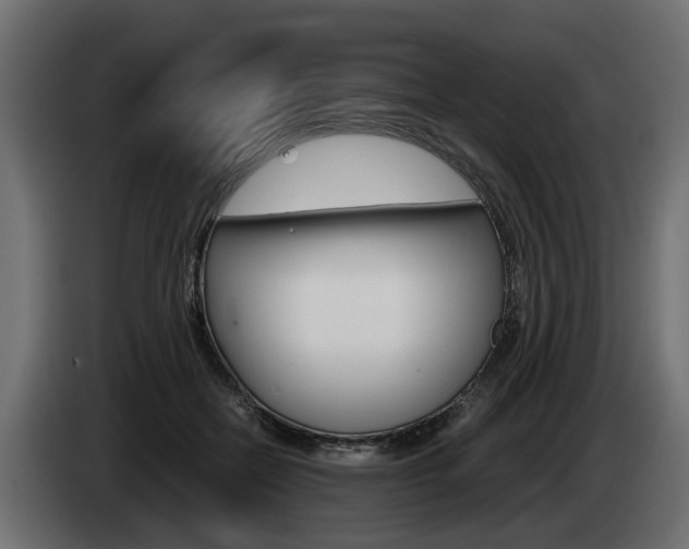 X0000085050554200703051047