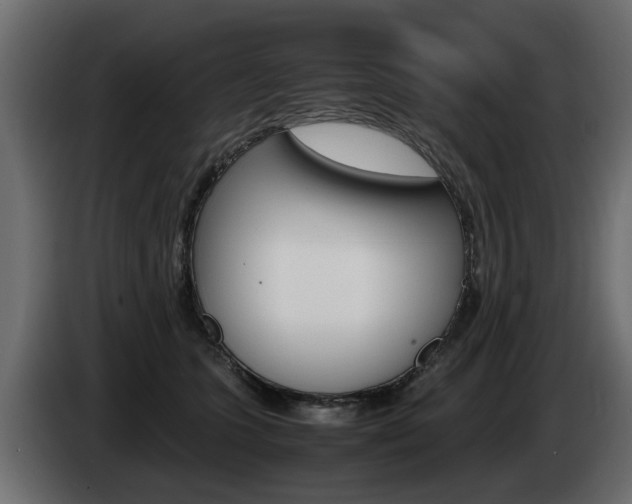 X0000085050563200703051047