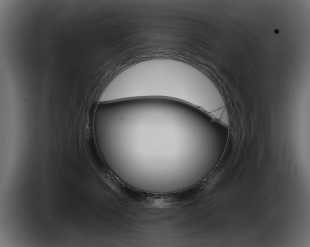 X0000085050564200703051047