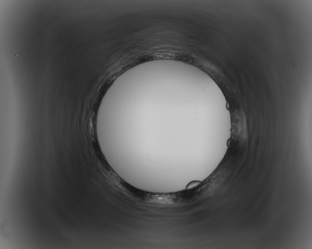 X0000085050573200703051047