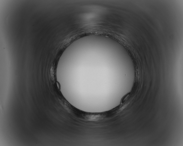 X0000085050575200703051047