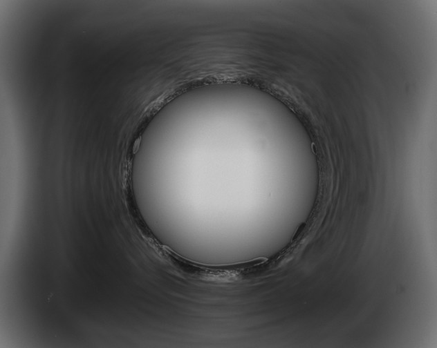 X0000085050576200703051047