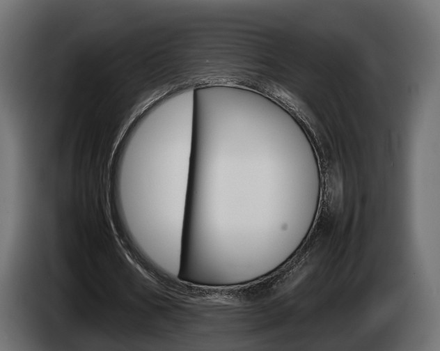X0000085050578200703051047
