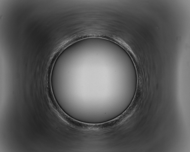 X0000085050581200703051047
