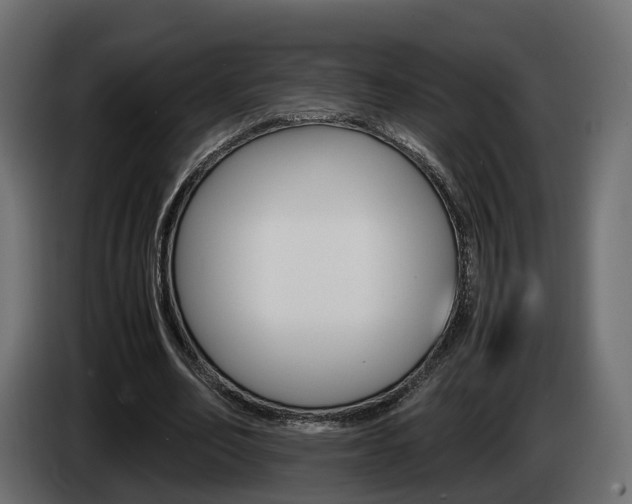 X0000085050582200703051047
